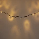 10M 100 LED warm white straight string lights with black cable