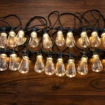13M 20-bulb S85 LED festoon lights with warm white LEDs and clear bulbs