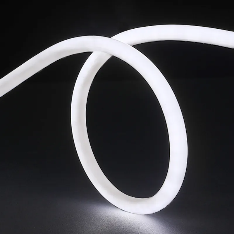 White D16MM 360 degree neon flex light on black background